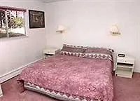 アパート サウス・レイクタホ1283 Wildwood Avenueアパートメント