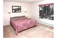 1283 Wildwood Avenue Daire South Lake Tahoe
